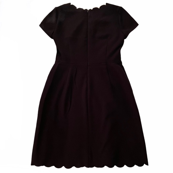 Maison Jules Scalloped Fit & Flare Dress - Picture 7 of 7